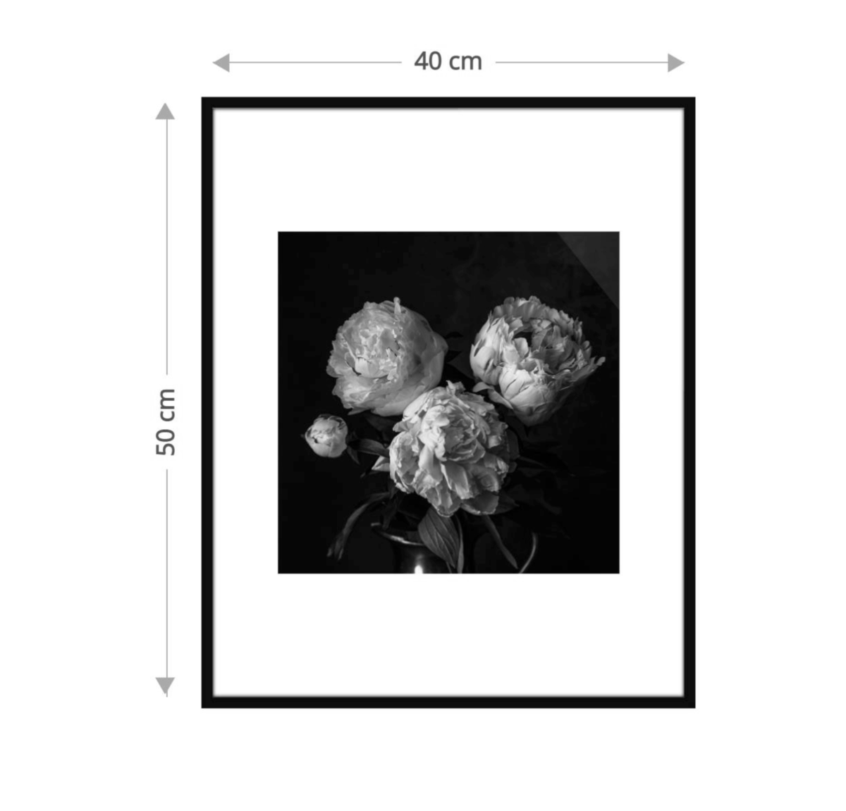 Framed Gallery 40×50